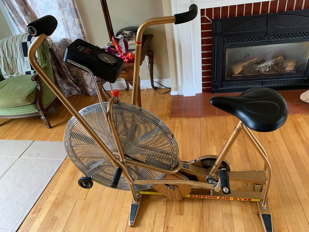 How This Stay At Home Mom Makes $5K/Month With Her Flipping Gig selling a Schwinn bike
