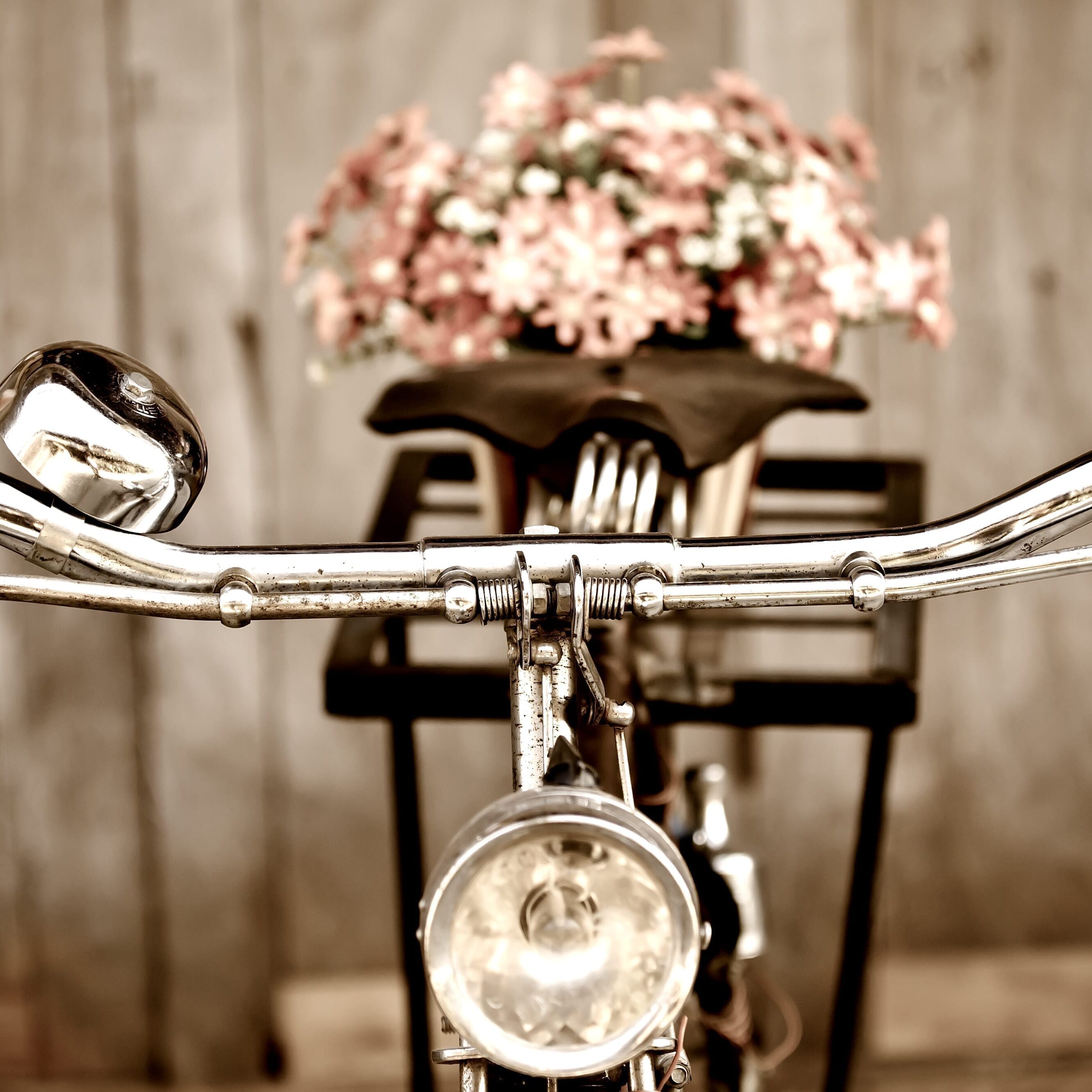 Old bicycle and flower  vase